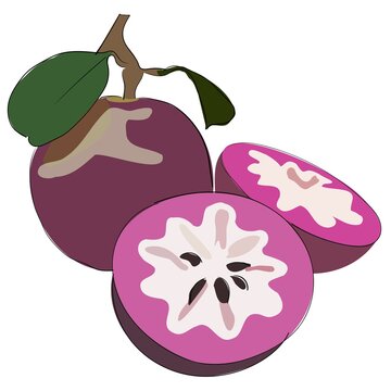 The fruits of the purple star apple