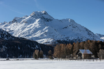Silsersee