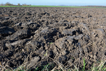 Plowing autumn field
