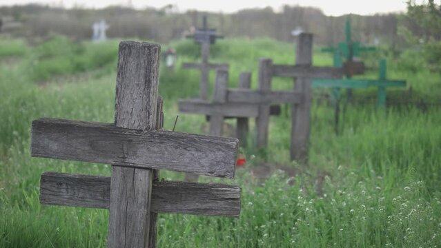 Wooden crosses in graveyard, green grass, steady nature, life and death