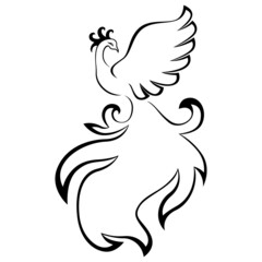Black graceful Firebird contour isolated on the white background, hand drawing vector illustration