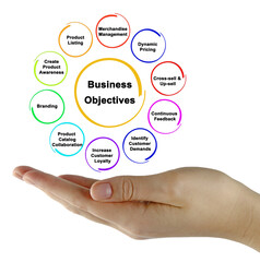 Woman Presenting Ten Business Objectives