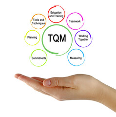 Components of Total quality management (TQM)