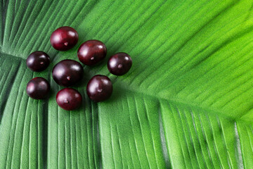 Euterpe oleracea - Fresh organic acai berries