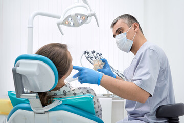 Fototapeta premium An orthodontist conducts a consultation on dental prosthetics. Doctor dentist shows an artificial plastic jaw with dental implants. Background of modern clinic