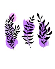 Obraz premium big beautiful set of vegetation and plants. botany template for wedding invitation. Botanical element template. silhouette twig decorative design botany