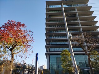 building in the city in city of Japan ,December 15 2021