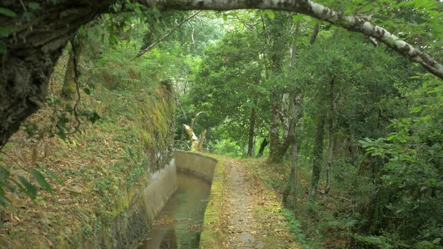 A path following the levada or irrigation channel above Lousa forest in Portugal. 