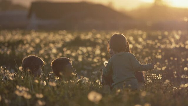 Mother with three children having dun in blossom dandelion field