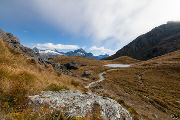 Steep mountain path to Harris Saddle at Routeburn Track Great Walk, Southern Alps