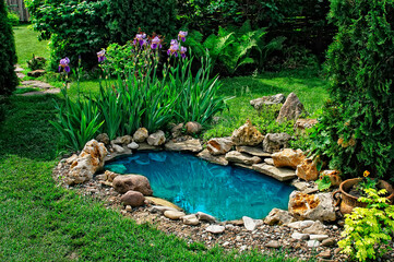 small pond in the garden