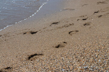 Footprints of a man on the yellow beach sand from walking barefoot by the sea with water that washes away the footprints.