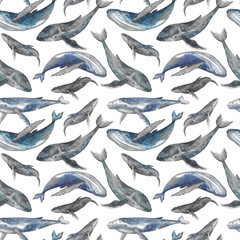 Whales seamless pattern on white background