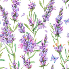 Naklejka premium Watercolor lavender flowers natural seamless pattern in vintage style on white background. Lilac botanical texture
