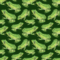 Frogs seamless pattern on dark green