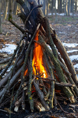 Campfire in the spring forest. Rest on the weekend. Danger of forest fires