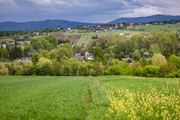 Rural landscape in Miedzyrzecze Gorne, small village in Silesia region of Poland