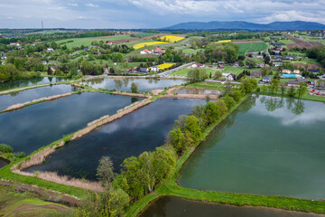 Drone photo of fishing ponds in Miedzyrzecze Gorne, small village in Silesia region of Poland