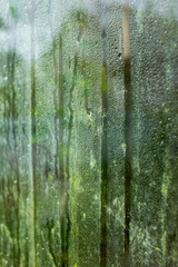 Selective focus. Mold and moss formed on the window from dampness. High humidity in greenhouse. Dangerous dampness. Green plants outside the window in the greenhouse.