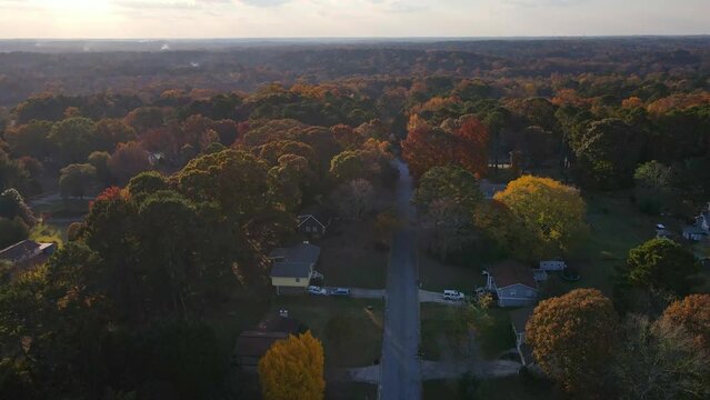 Aerial fall drone view of fall colors and trees