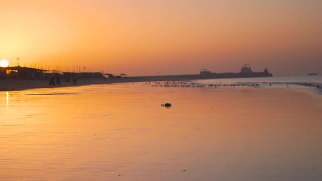 Beautiful landscape of beach and birds on shore with sun in sky during time of sunrise or sunset. Serene travel nature landscape for relaxing summer vacation. At Mandvi, Gujarat,India