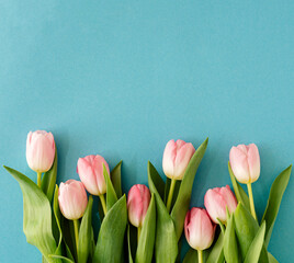 Copyspace with pink tulips on light blue background. Pastel colors fresh spring concept. Minimal flat lay.