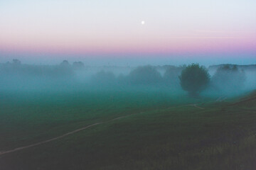 fog over the river