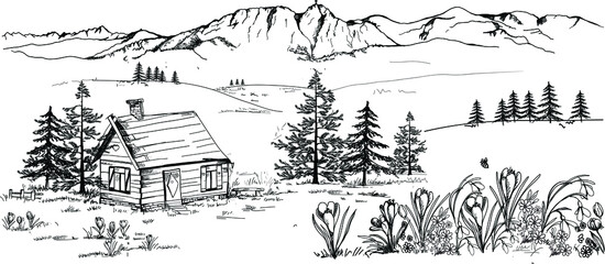 Spring  mountains in Zakopane in the Podhale region, spring in the mountains. A wooden hut, crocuses, saffron and snowdrops. Sketch, drawing, scribble, vector. - obrazy, fototapety, plakaty
