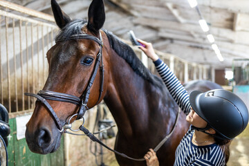 Young girl combing and cleaning her horse at the stable.