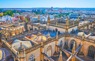 The housing of Seville behind the Gothic roof of Cathedral, Spain