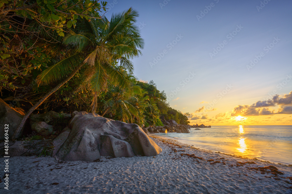 Wall mural sunset at tropical beach anse georgette on praslin on the seychelles