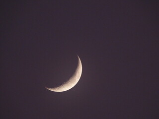 Crescent Moon