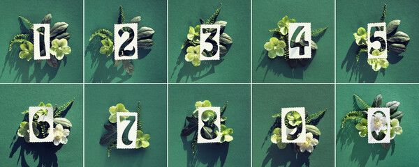 White paper numbers one to ten and zero on green. White and green helleborus winter rose flowers, fern leaves on green background. Floral arrangement, square flat lay. Composite image, design elements