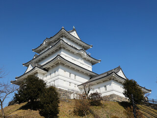 Fototapeta premium 冬の小田原城 神奈川県小田原市、日本