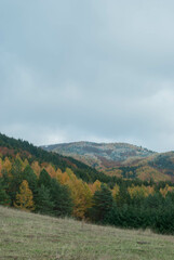Mountain scenery with green and red forests