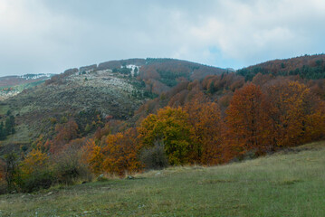 Mountain scenery with green and red forests