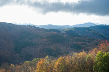 Mountain scenery with green and red forests