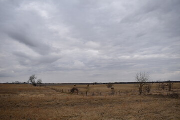 Fototapeta na wymiar Farm Field Under a Cloudy Sky