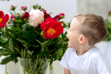 Fototapeta premium A little boy in a white T-shirt with blooming peonies. Spring. A child in flowers.