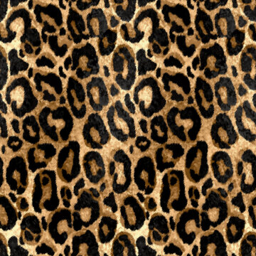 Seamless leopard pattern, jaguar texture, animal print.