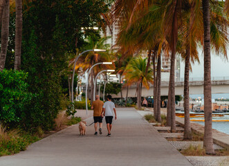 walking in the city people dog park family couple children miami palms 