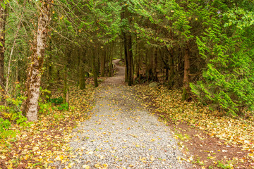 Trail in park in at summer day in Vancouver, Canada, North America.