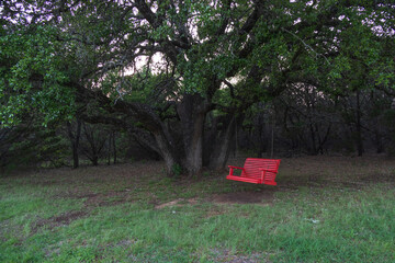 Red wooden porch swing under a large tree