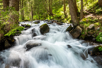 Stream of splashing water flowing through the rocks in dense forest landscape. Waterfall in the mountains