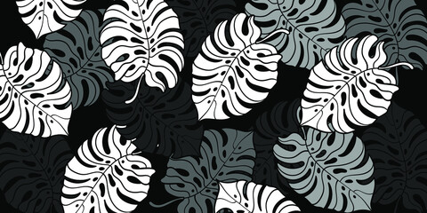 Black and white tropical leaves pattern. Palm tree background. Textile, fabric, texture, poster. Vector illustration EPS 10