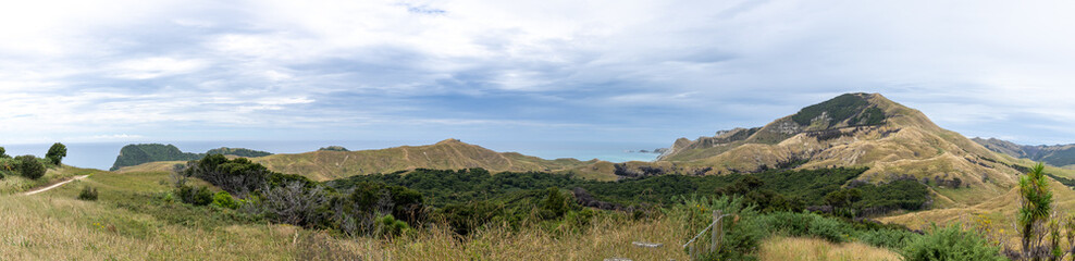 Panorama of hills and track to Cook's Cove