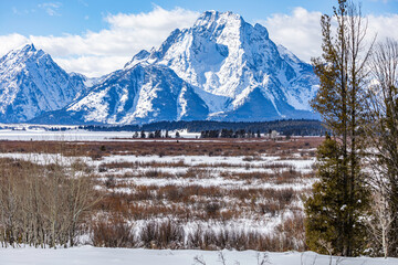 snow covered mountains
