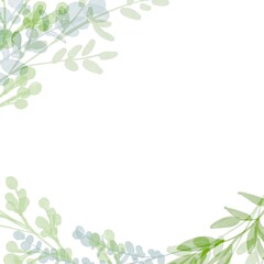 水彩画。水彩画で描いた緑のハーブイラスト。草木の植物フレーム。シンプル背景。Watercolor painting. Green herb illustration in watercolor. Plants and trees plant frame. Simple background.