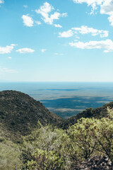 Fototapeta premium nature