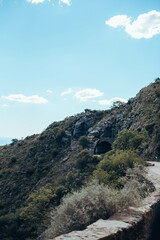 Naklejka premium nature